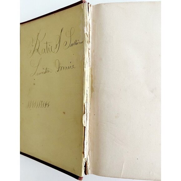 Lectures Sermons Rev T.N. Burke 1877 Dominican Priest Victorian HC Proude HBS - Picture 10 of 10